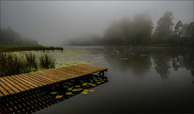 Misty Jetty, Rickus Barnard
