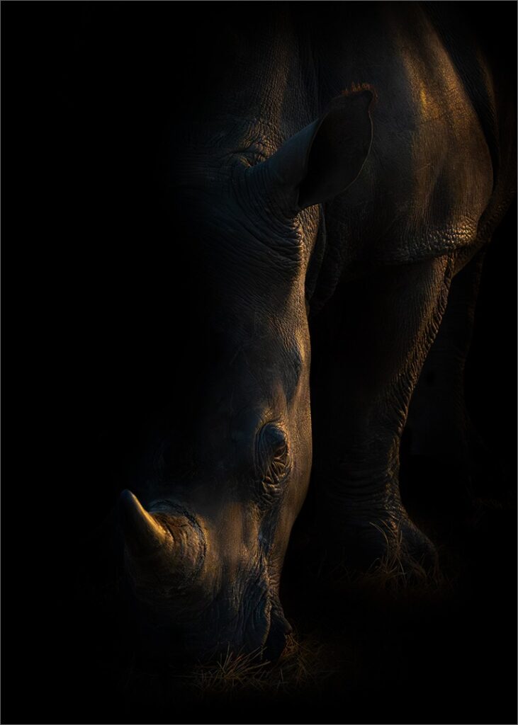 Horn of Shadows