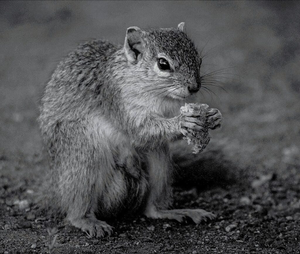 Having a nibble