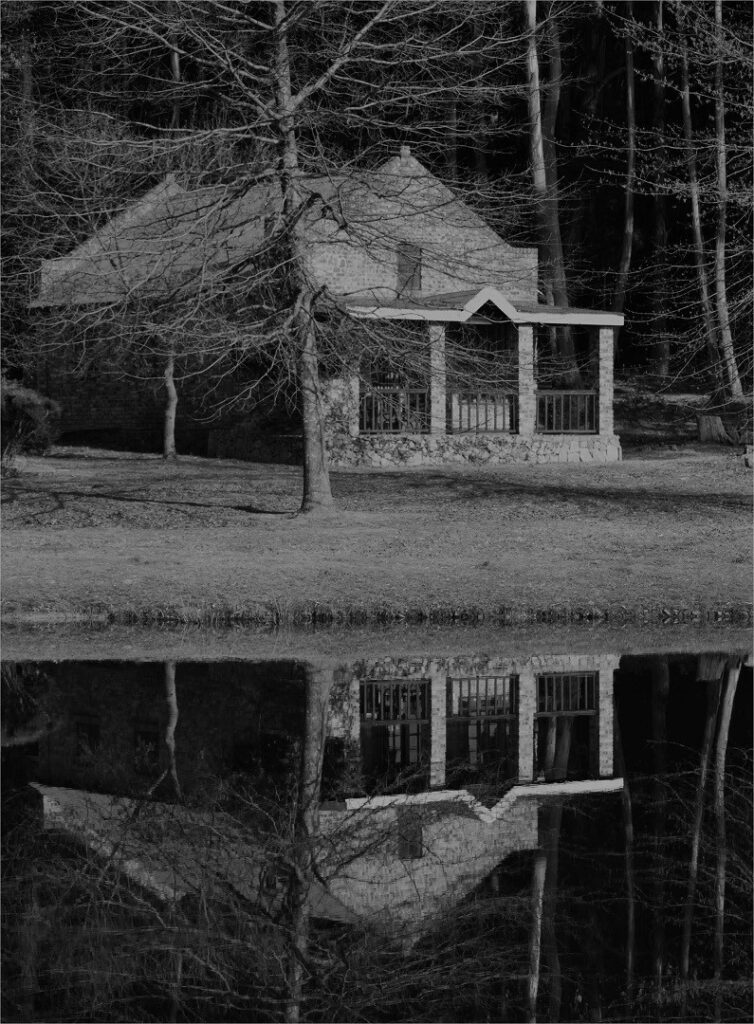 Winter reflections