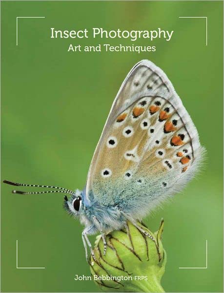 Insect Photography Art And Techniques