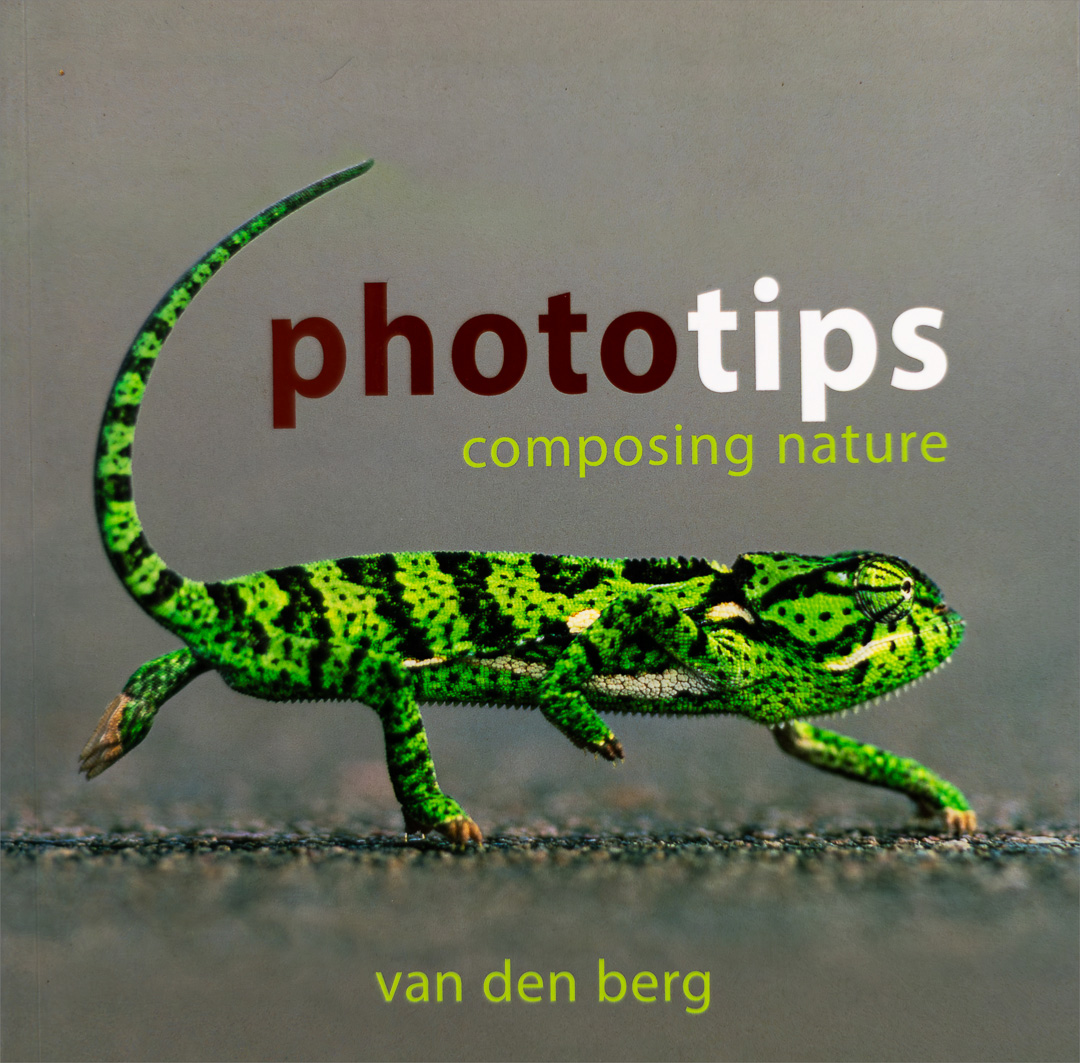 Photo Tips - Composing Nature
