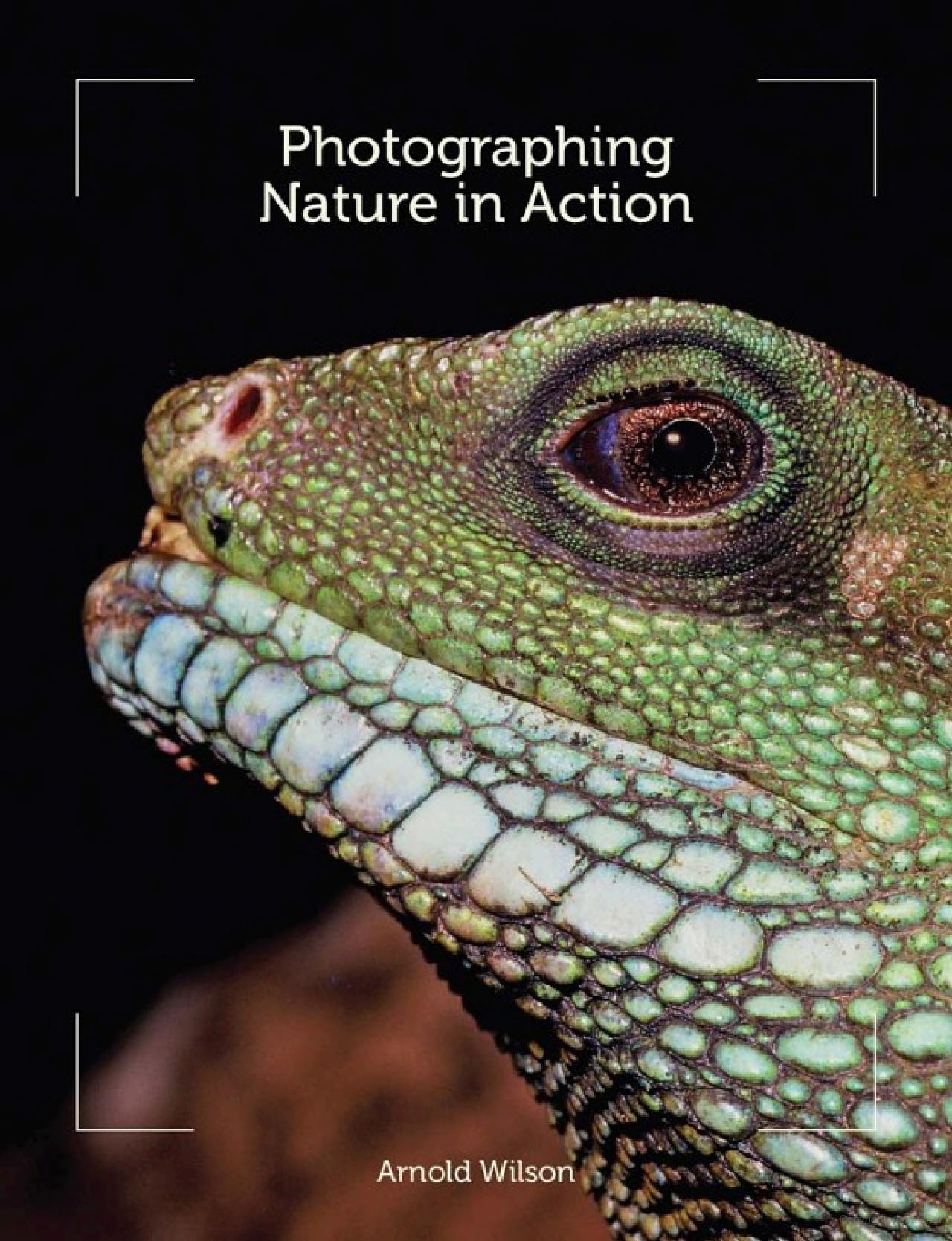 Photographing Nature In Action