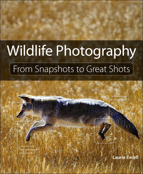 Wildlife Photography: From Snapshots To Great Shots