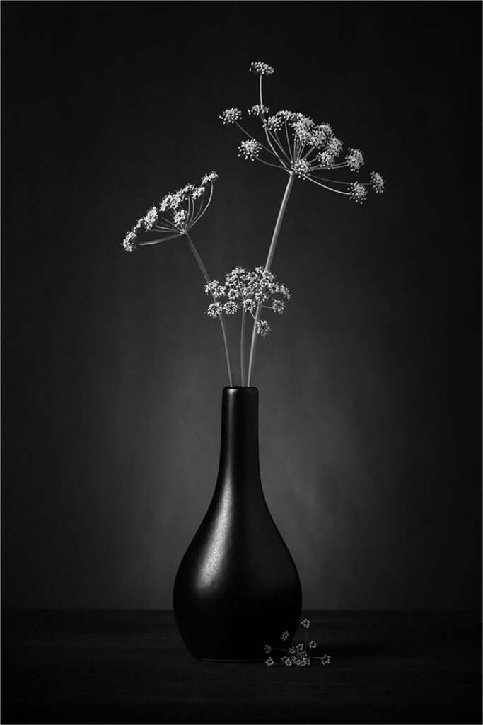 Parsley Collection