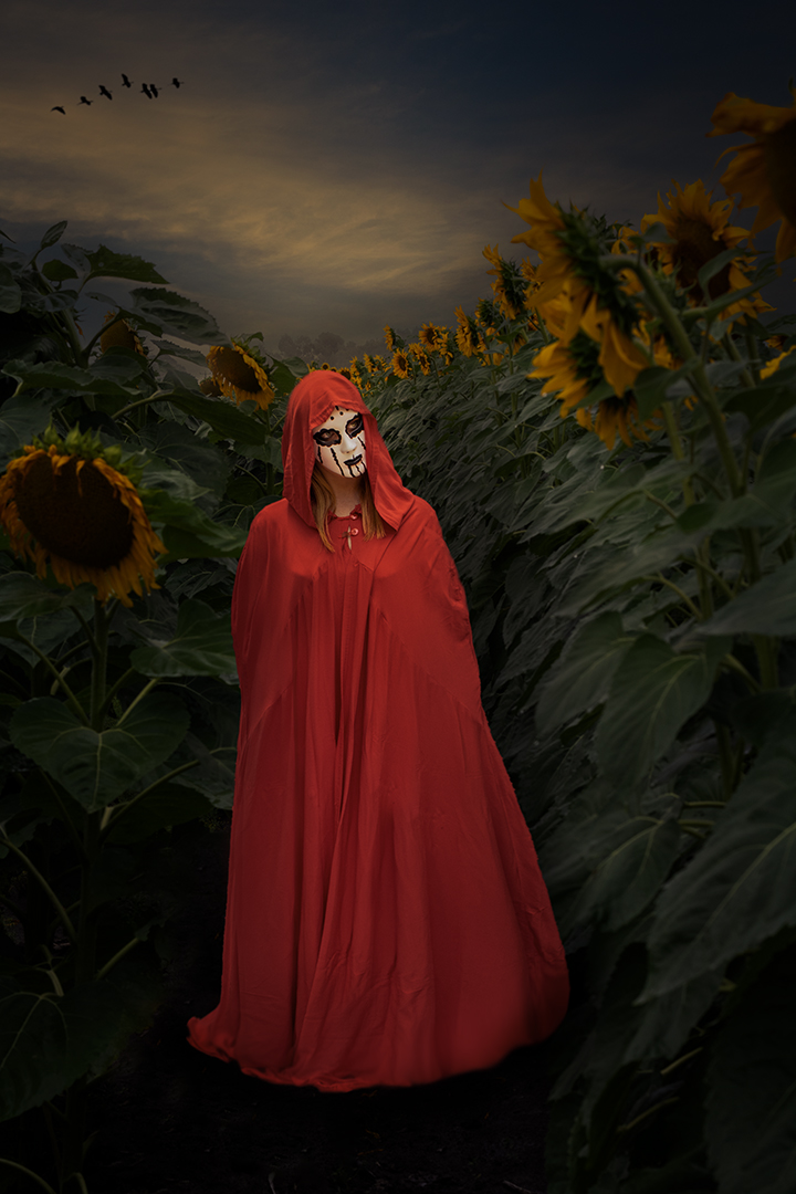 The strange lady in sunflowers field, Annaline Werth