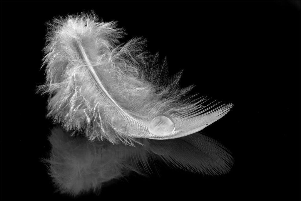 Feather drop