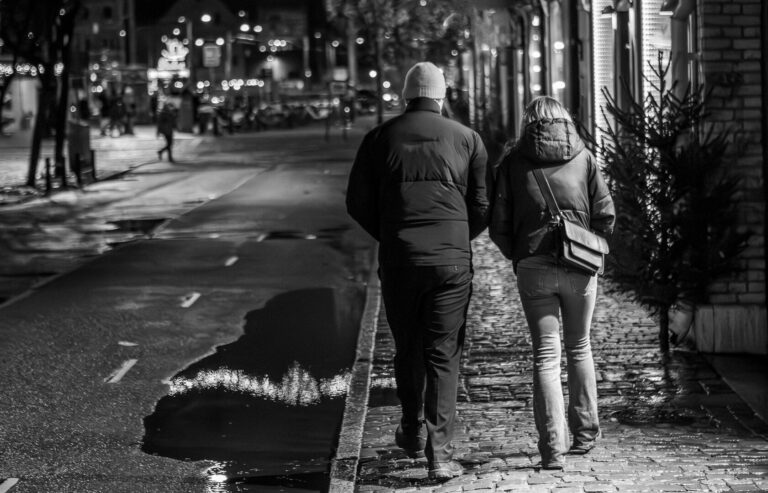 Walking Home, Louis Schnetler