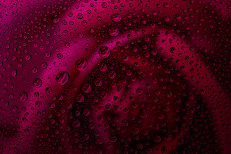 Rose Droplets, Arnold Bester