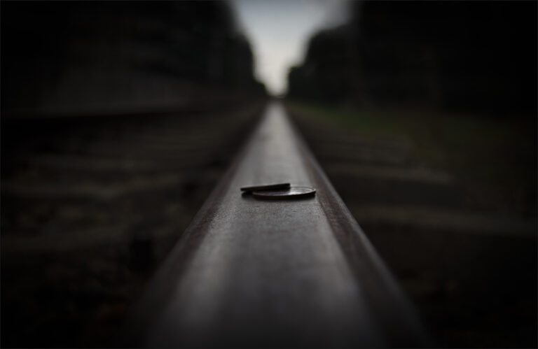 Pennies op die spoor, Michelle Rademeyer