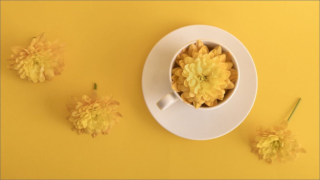 A Cup of Sunshine