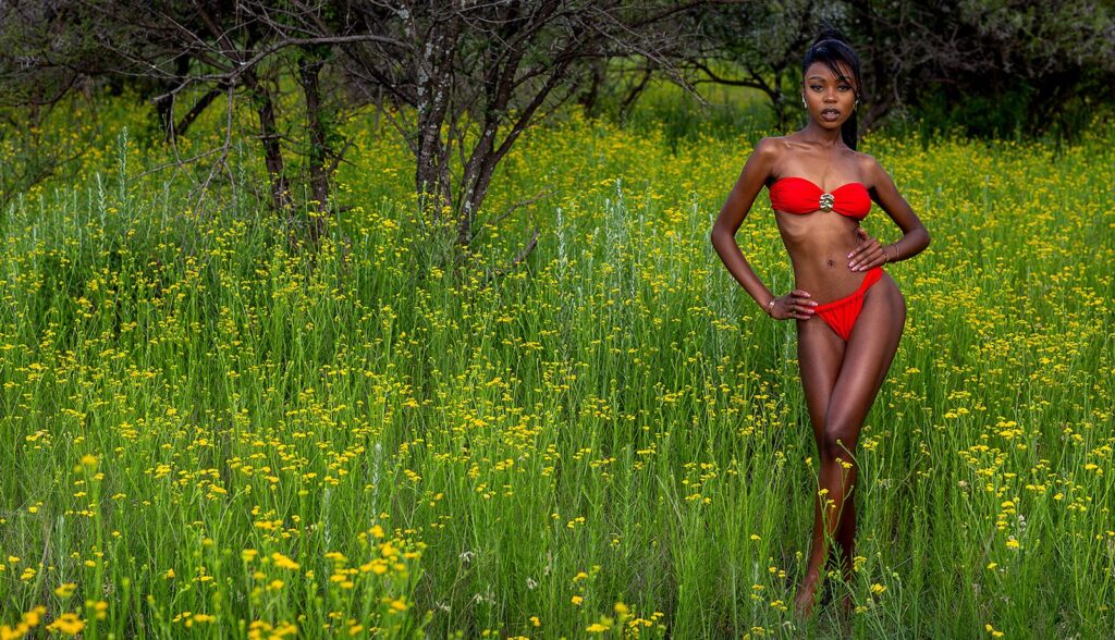African Summer