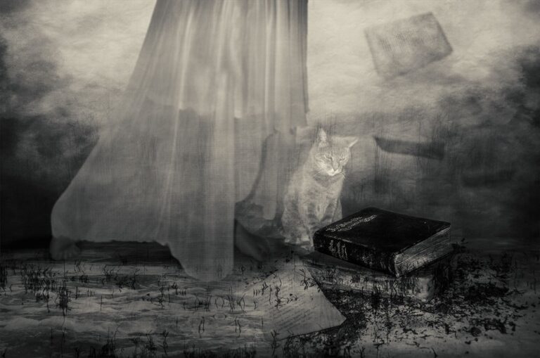 All the stories I can tell, Michelle Rademeyer