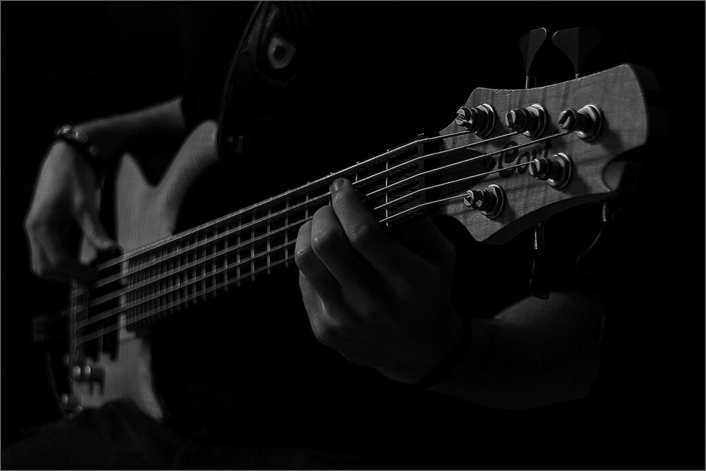 Bassist