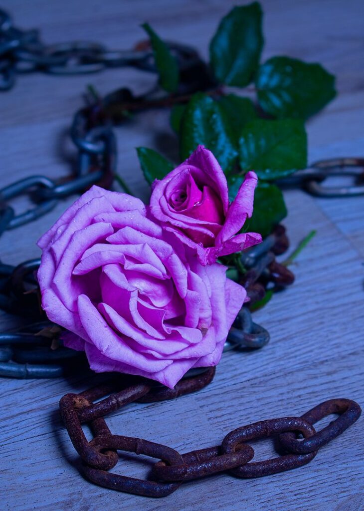 Beauty Chained down