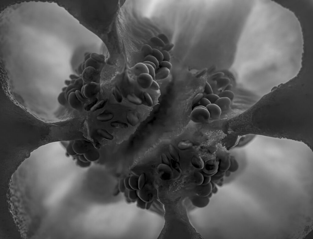 Beneath the Surface