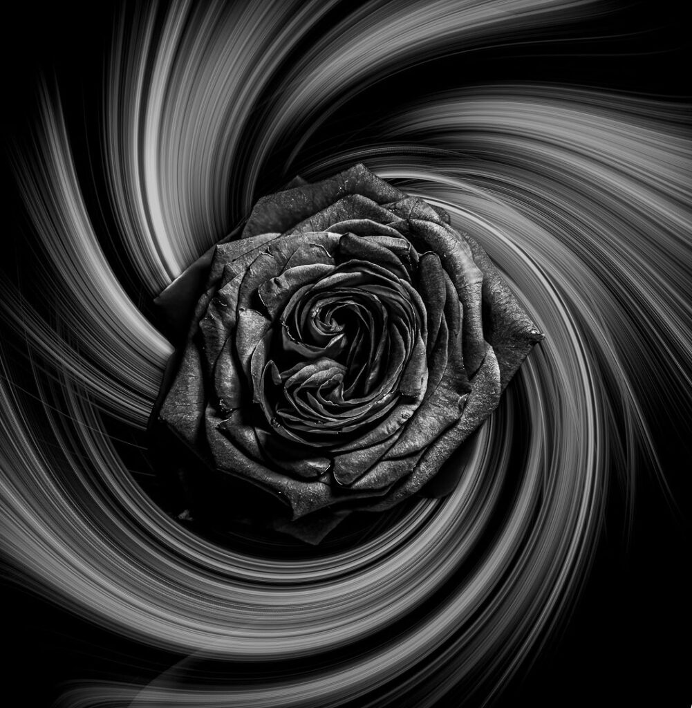 Bloom in the Void
