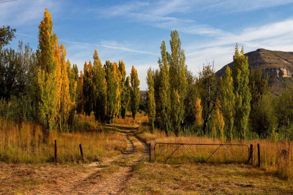 Clarens 2