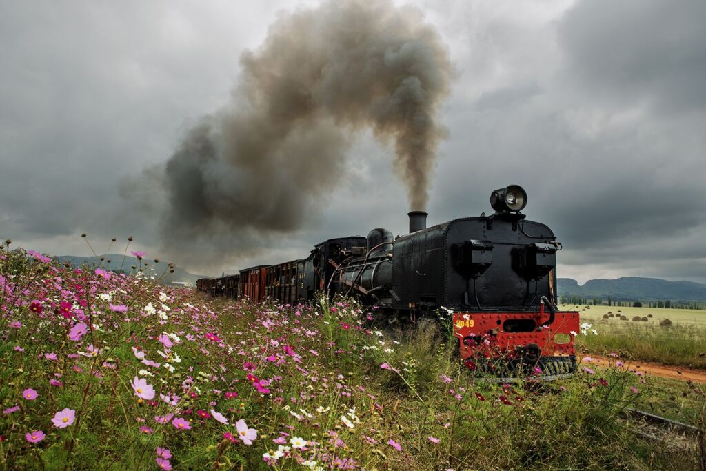Cosmos Express