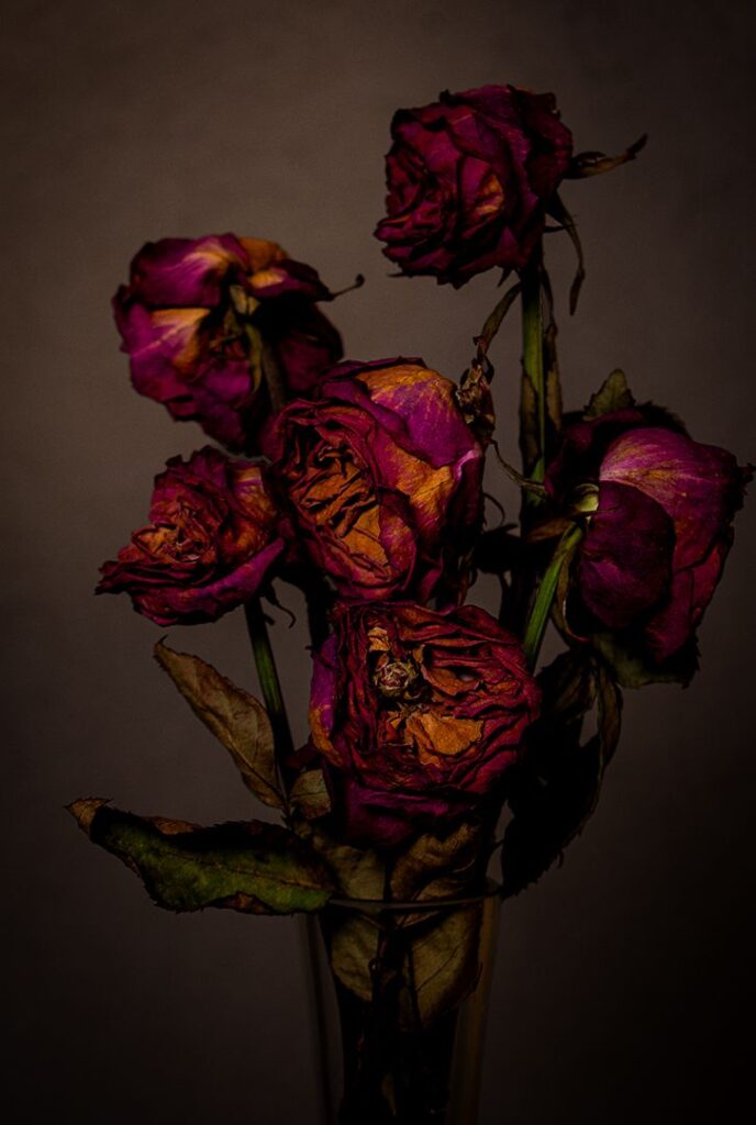 Deadly Roses