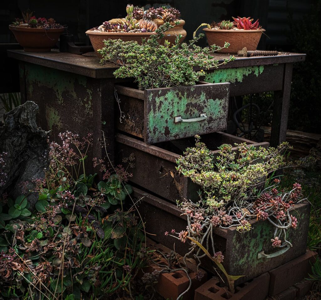 Decaying Beauty
