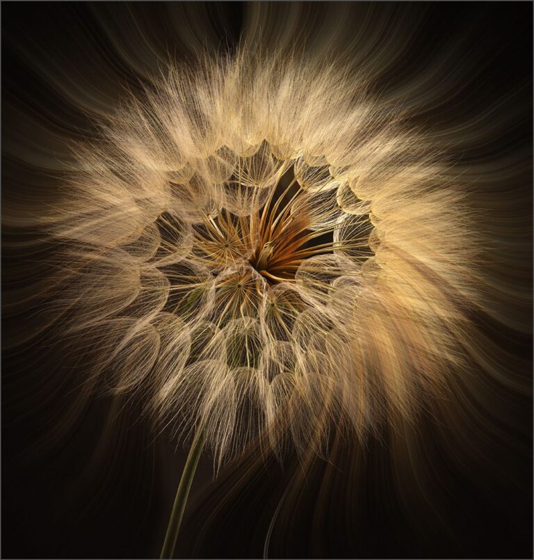 Detailed explosion, Anita Bester