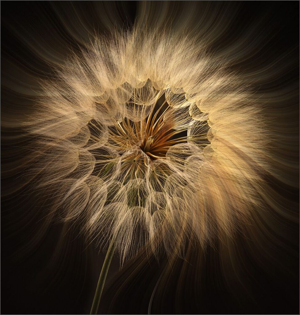 Detailed explosion