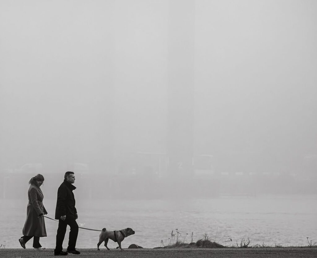 Doggy Walk