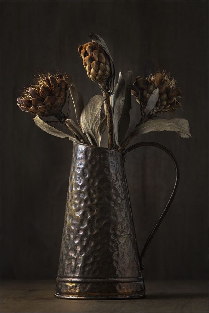 Dried Marakele Proteas