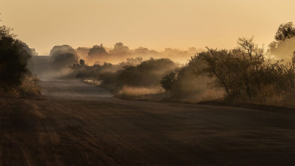 Dusty Sunset