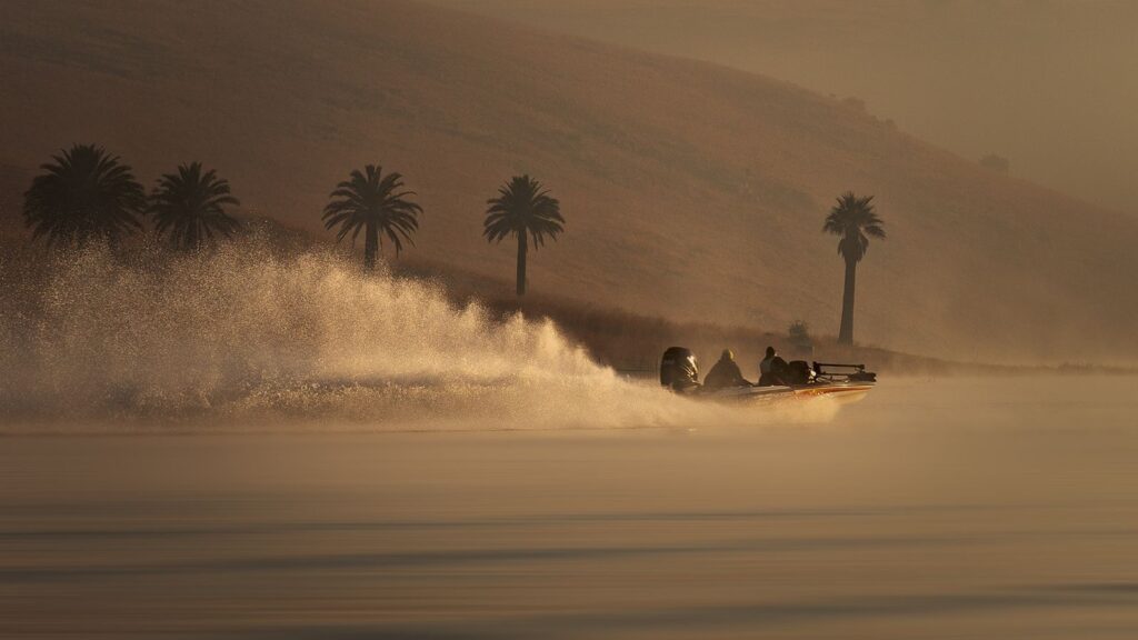 Early Morning Fishing