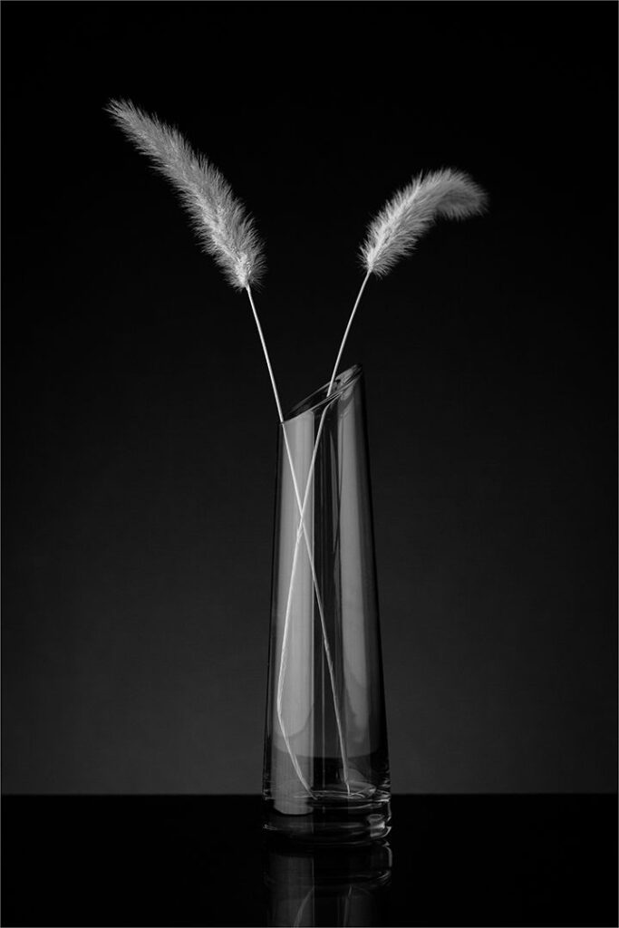 Grasses in Vase