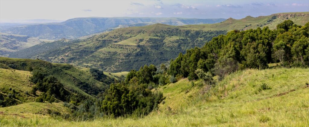Groen is die land van Natal