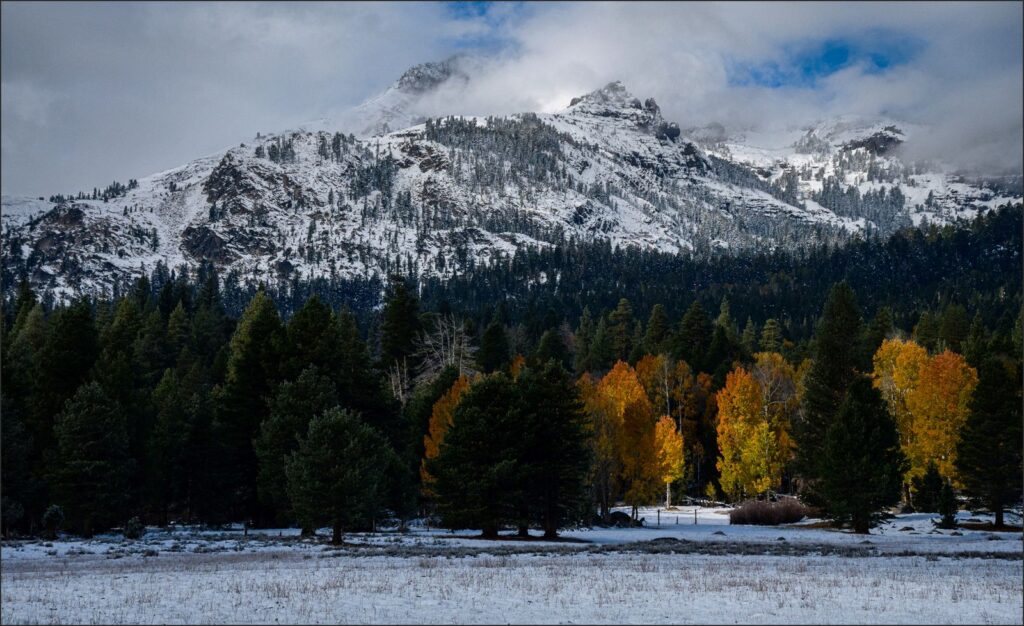 Highlight in the Snowscape