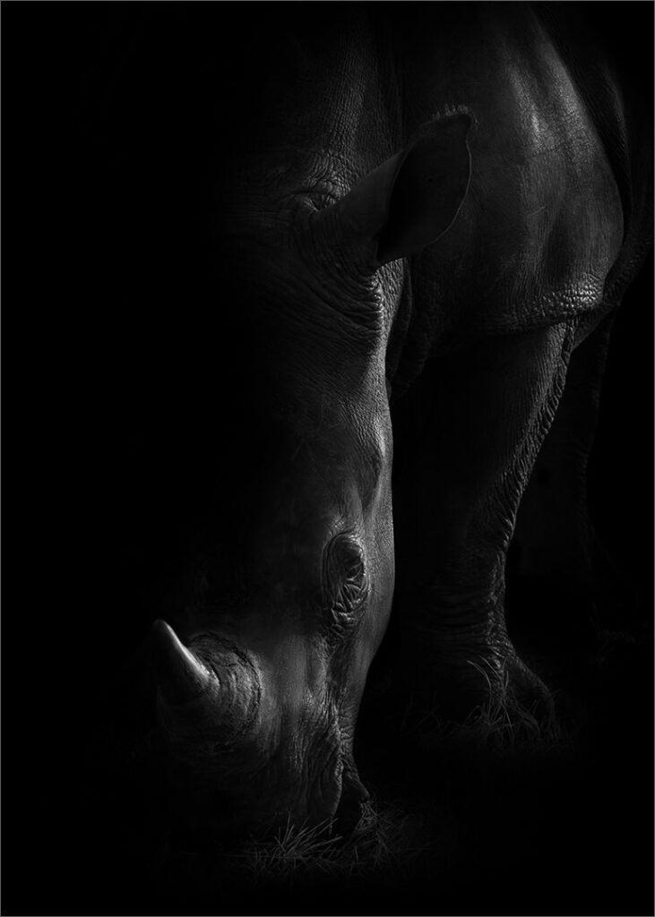 Horn of Shadows Mono