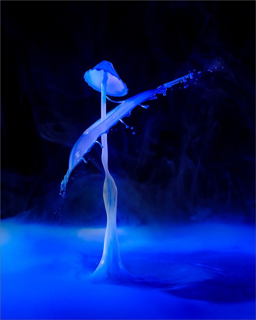 Ice dance