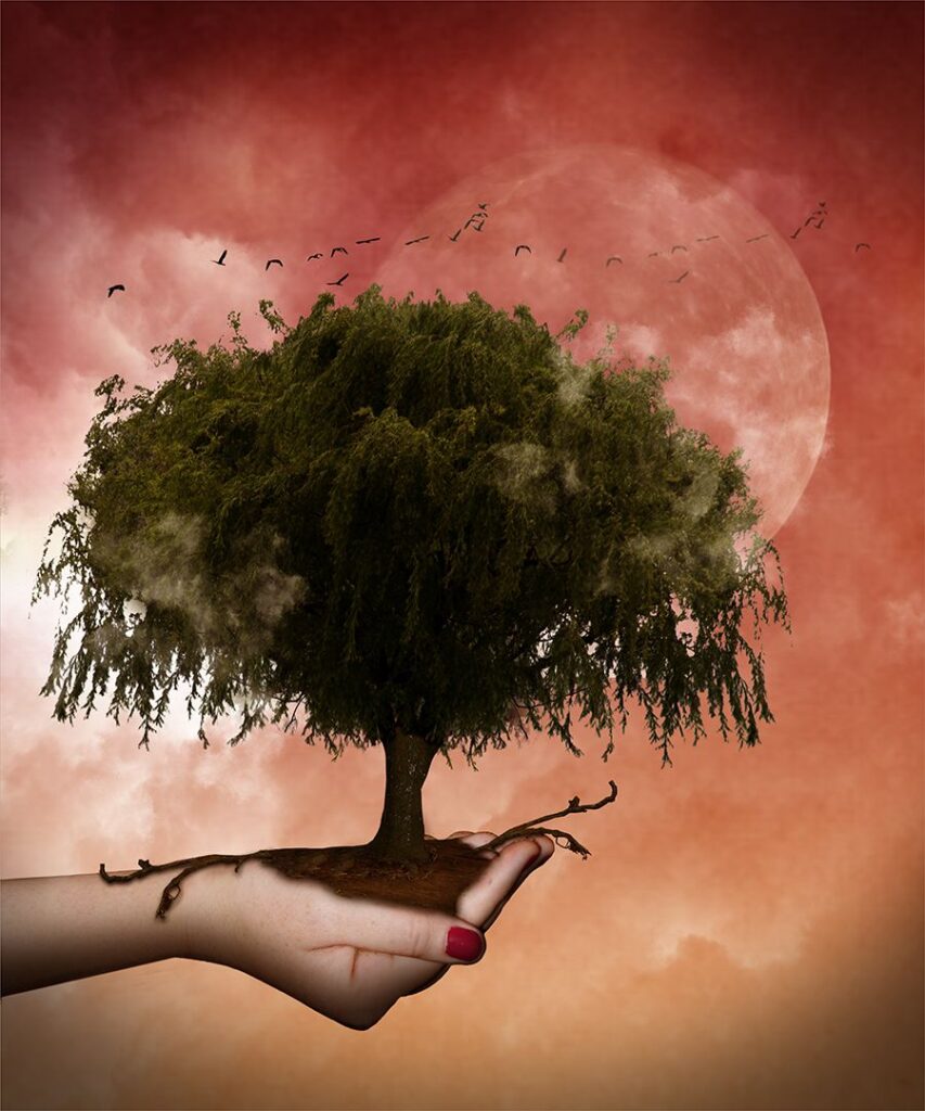 Its in your hand to make a better world