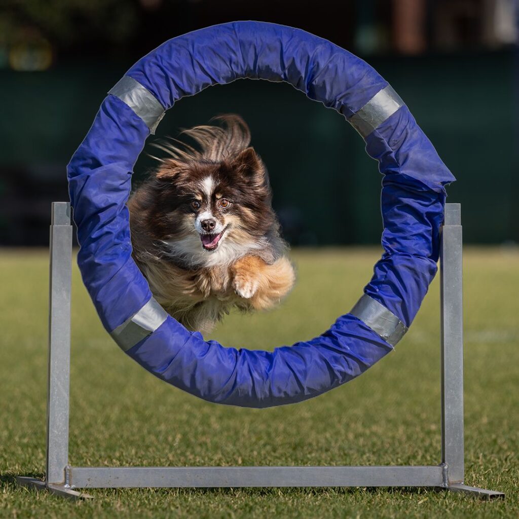 Jumping through hoops
