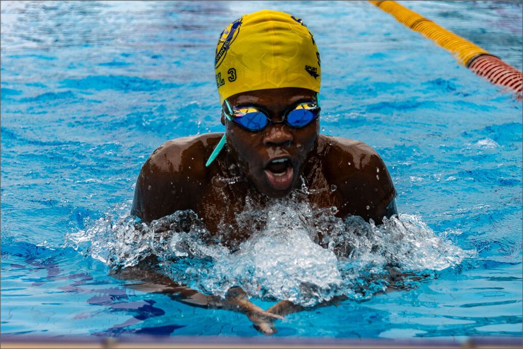 Just Keep Swimming