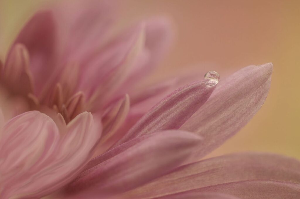 Just One Drop