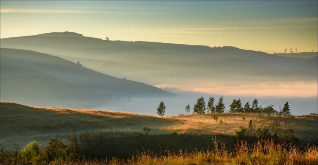 Layered Morning