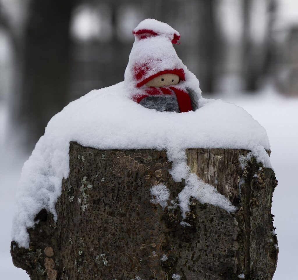 Left in the cold
