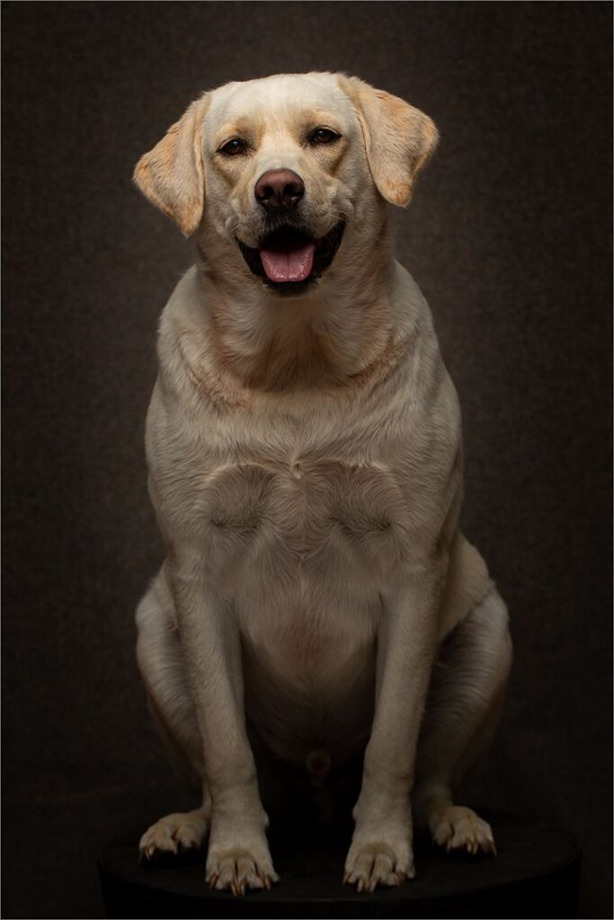 Marley Portrait