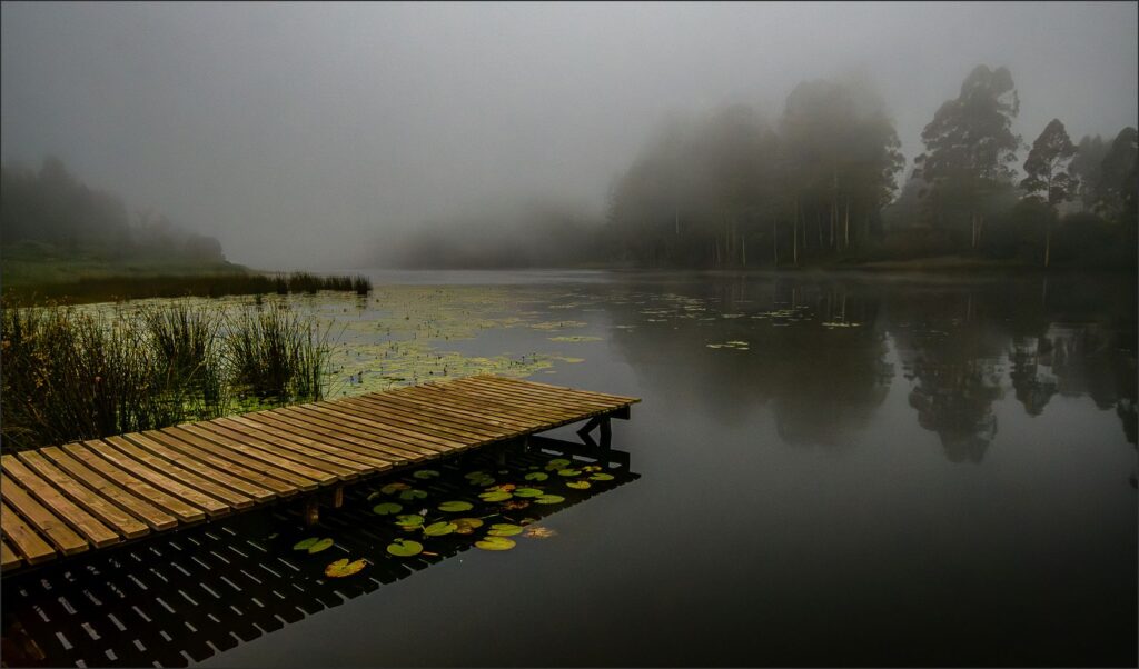 Misty Jetty