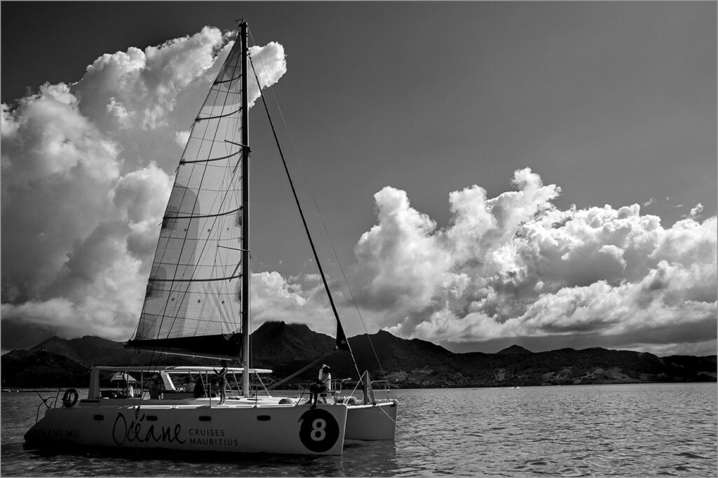 Oceane 8 0993