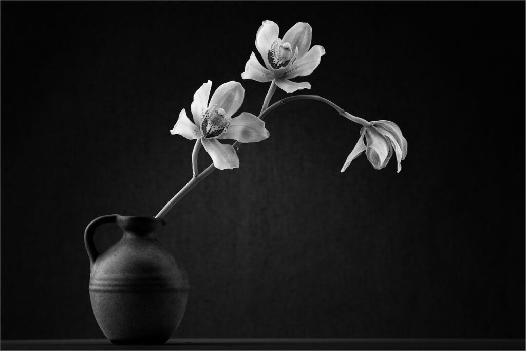 Orchids in Vase mono