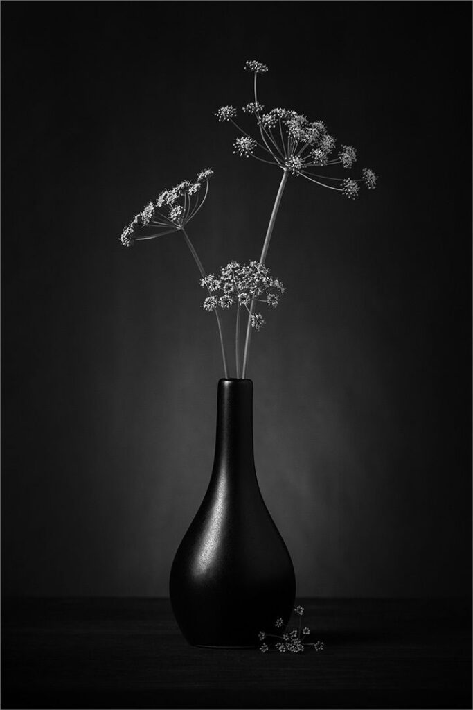 Parsley Flowers in Vase