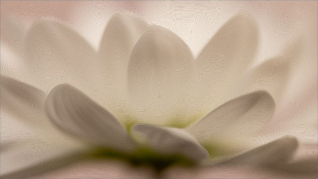 Petals