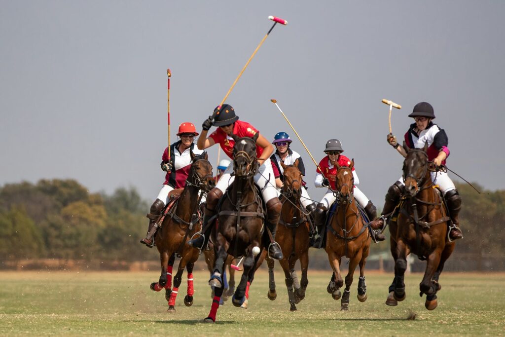Polo Action