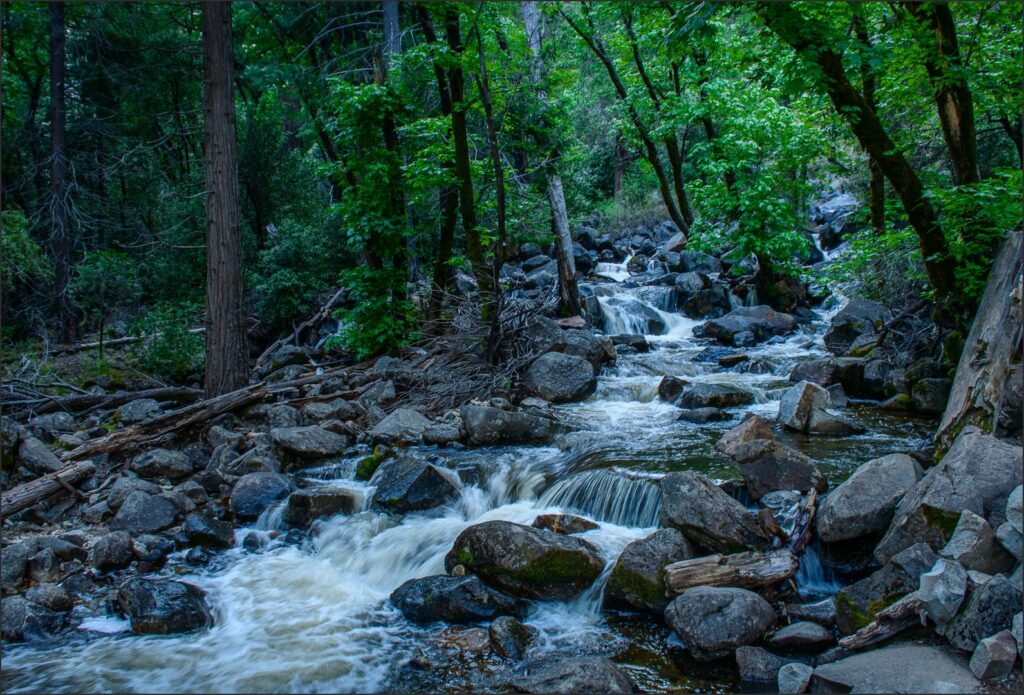 Rocky Stream